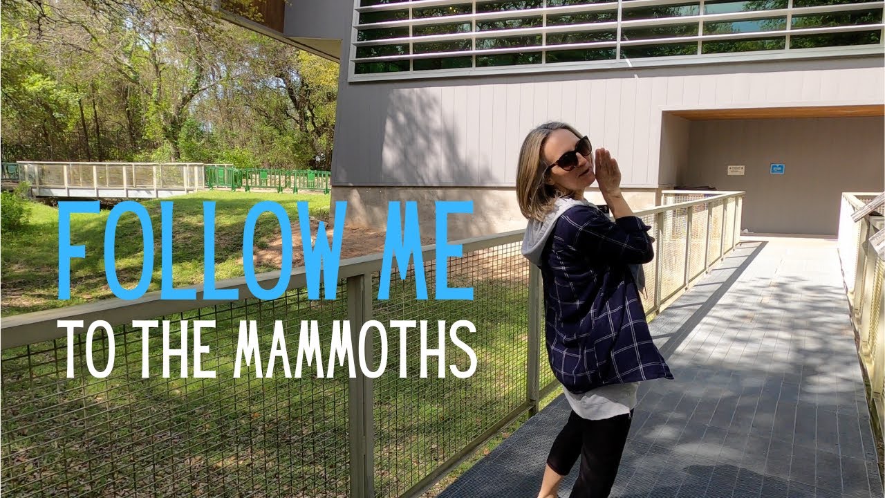 Waco Mammoth National Monument