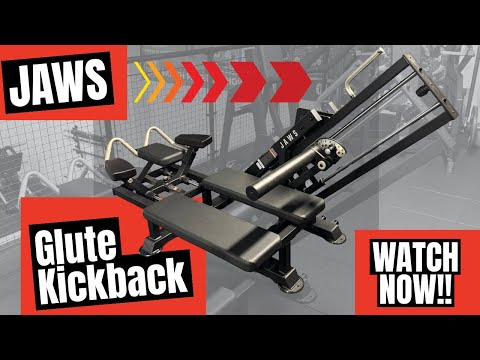 JAWS Strength Glute Kickback – A Gym Favourite for Glute Training