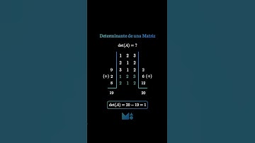 Determinate de una Matriz por sarrus #matematicas #animacion #fyp #matrices