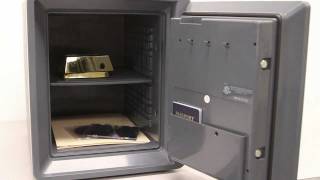 First Alert 2087F Fire, Water & Theft Combination Safe