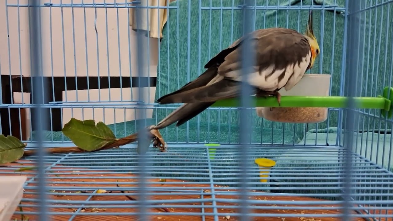 #mannkibaat day 20 - beta beti mein farq nahin karna chahiye