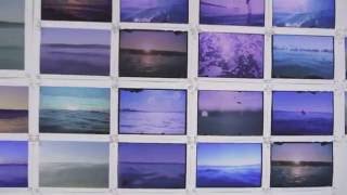 Eurofornia with Steven Nereo