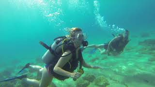 try dive