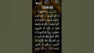 سورة المؤمنون تلاوة هادئة #quran #القرآن_الكريم #المصحف #اكسبلور