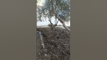 إن في خلق السماوات والأرض وسورة الفاتحة