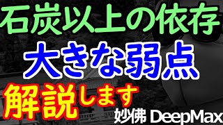 01-24 石炭よりも深刻な海外依存