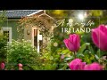 Irish Cottage Garden | Slow Living Ireland | Life on a Farm | Relaxing Nature Sounds