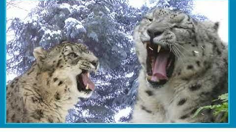 Excel 5 Module 7 p86 ex2 The Ghost of the Mountains video ver