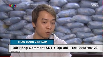 Gối lá đinh lăng của Thảo Dược Việt Nam