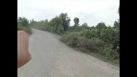 Bán đất xã Thạnh Lợi huyện Bến Lức tỉnh Long An.