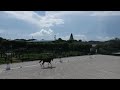 Dressage Riding at Palm Beach Equine Sports Complex
