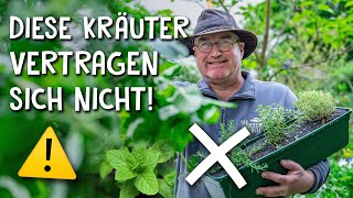 Kräuterbeet richtig gestalten - Tipps & Tricks für die ideale Auswahl der Kräuter