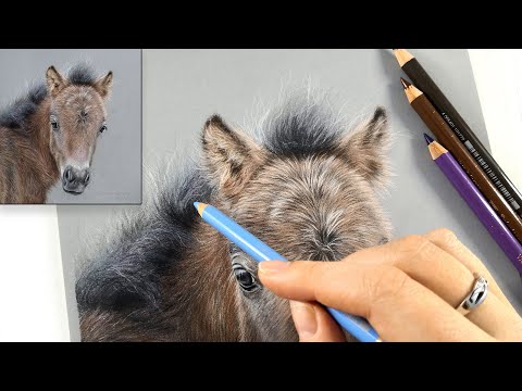 Draw Realistic Horse Hair — The Same Way You Draw Human Hair! 