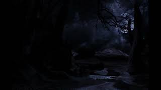 Song for Disoriented 2