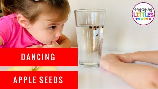 Dancing Apple Seeds - Science for Kids screenshot 5
