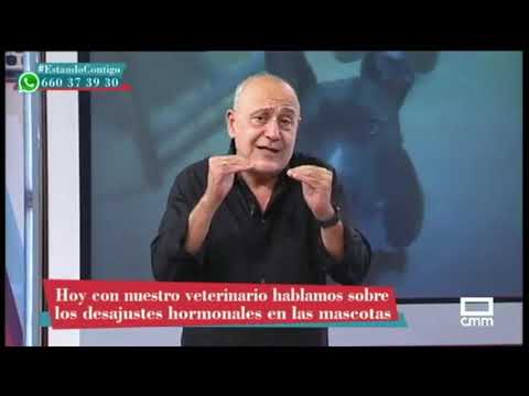 ¿Qué es y