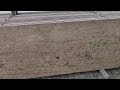 Shiva Gold Granite | Granite Manufacturer in India | Indian Granite Supplier | Moon Exports India