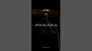 تلاوة هادئة جدا بصوت هاني العزوني ❤️🌸