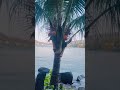 Best cafe in phuket #patongbeach #youtubeshorts  #popular #thailand  #phuket  @blueharbourcoffeecafe