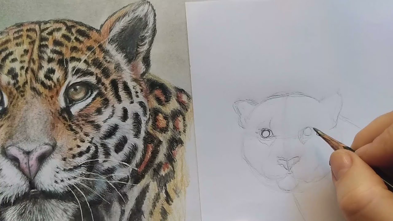 DESENHANDO A CABEÇA – DESENHOS REALISTAS (Realistic Drawings)