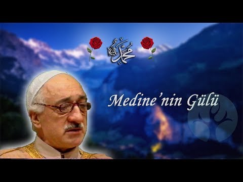 Medine'nin Gülü | M. Fethullah Gülen