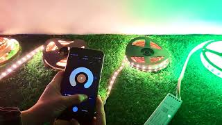 WL5 work with Tuya App and Alexa screenshot 4