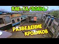 Разведение Кроликов !! КЛЕТКИ или ВОЛЬЕР!! Зимовка кроликов