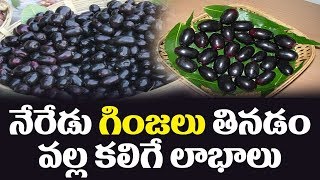 Neredi Pandu Health Benefits | Neredi Palla Valla Upayogalu | Jamun Fruits Health Benefits | Jamun