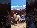 ரிஷி பேபி🥵🔱💋#erthukattu #jallikattu #erthukattu lover#like #followme #bull #comment #subscribe