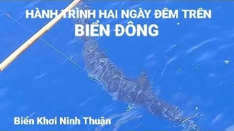 Câu Cá Cờ Khủng 55kg Jigging Slow Hai Ngày Đêm Ngoài Biển Đông Phần 3 @Biển Khơi Ninh Thuận |