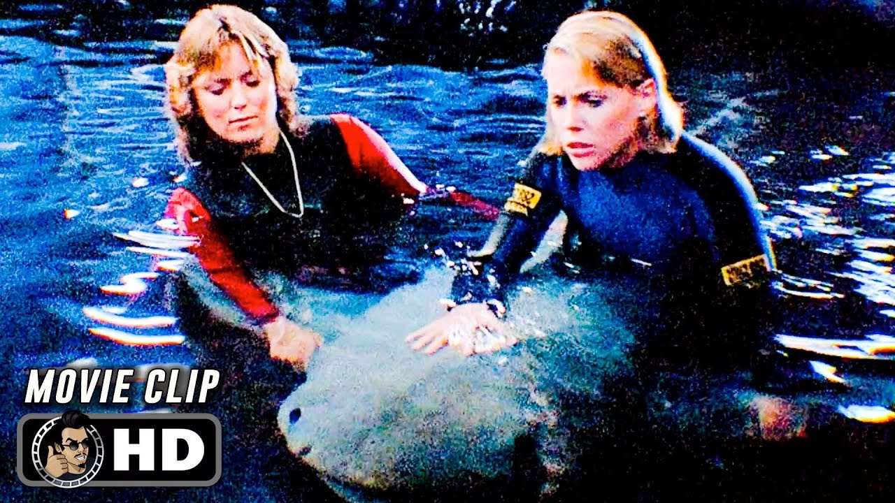 Baby Shark Scene | JAWS 3 (1983) Movie CLIP HD