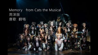 Memory  from Cats the Musical I 周深 I 唐歌 cover