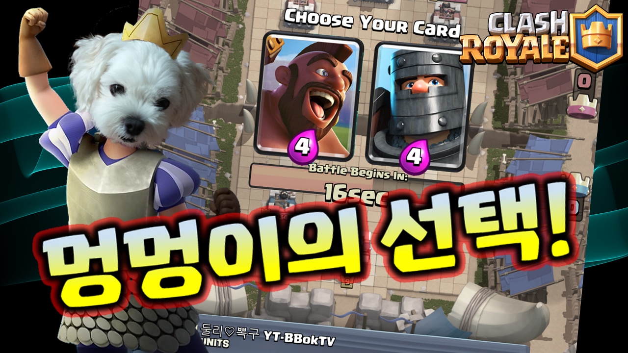 Grand Draft 드래프트 챌린지. 멍멍이가 선택한다! puppy's choice. Grand Draft challenge! (클래시로얄 ...