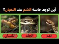 هل يمكنكم معرفة حل هده الأسئلة؟🤔