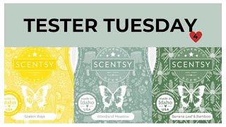 Tester Tuesday Soakin’ Rays, Woodland Meadow and Banana Leaf & Bamboo (Scentsy Reviews NR part 4)