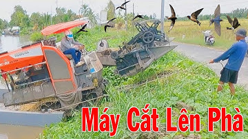 Qua Cảnh Máy Cắt DC93 - DC70 Di Chuyển Qua Cầu Cắt Lúa Vuông Tôm | Giải Cứu Máy DC70 #thanhhaumaycat
