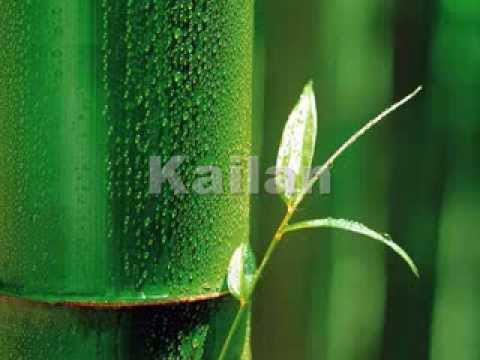 Video Kailan