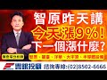 20240111陳奇琛分析師｜智原昨天講今天漲9%? 下一族群是什麼?智原、麗臺、洋華、大宇資、半導體設備