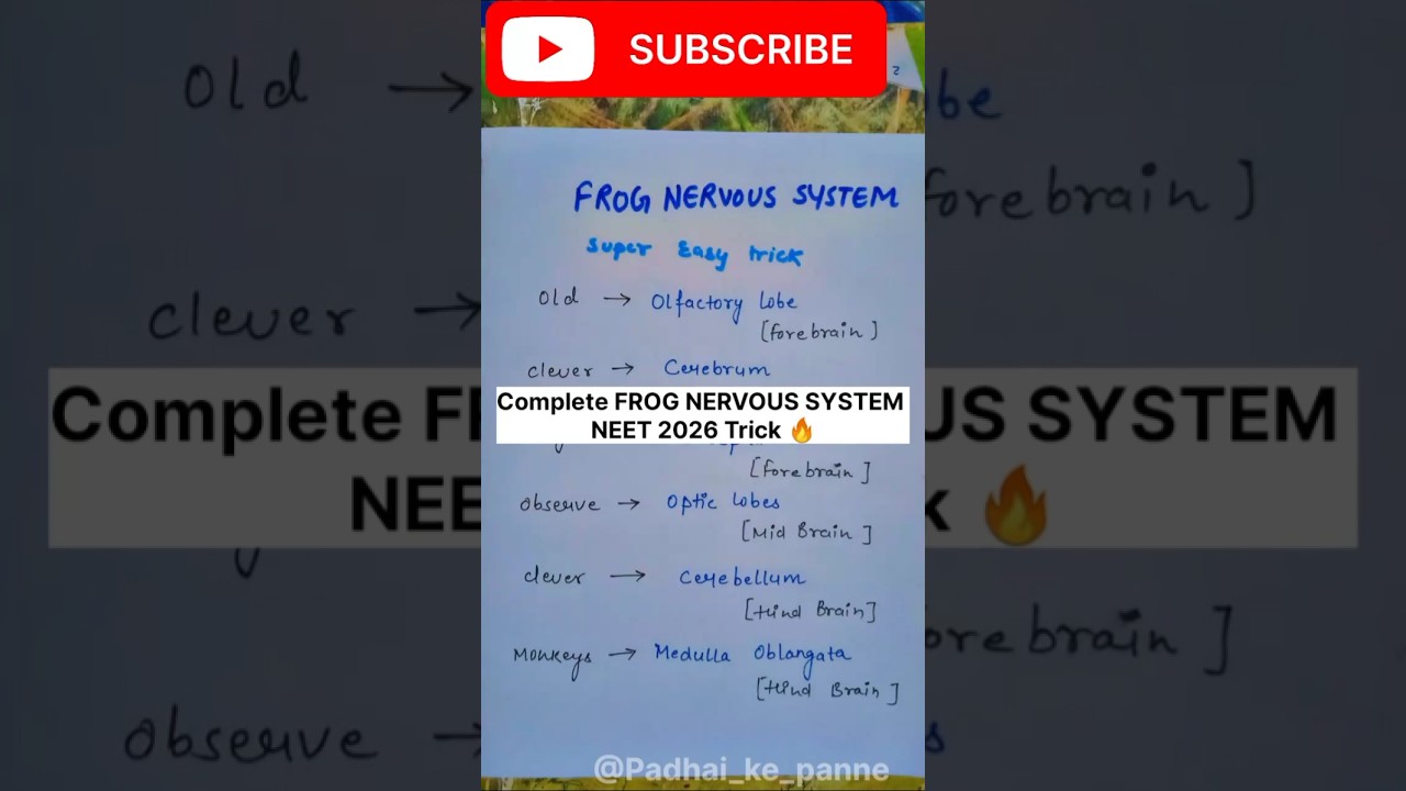 NEET 2026 Must know 💯 | Frog Nervous system 🐸 | Super Easy Trick 🤩 