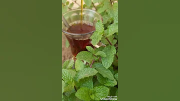 نعناع الحاج عمر نعناع مورور 