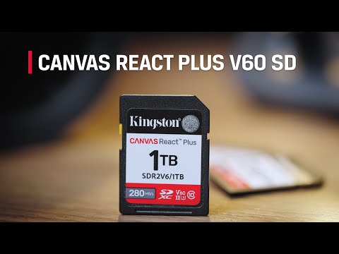 Kingston Canvas React Plus SD - Por que é o cartão SD ideal para quem está começando no UHS-II?