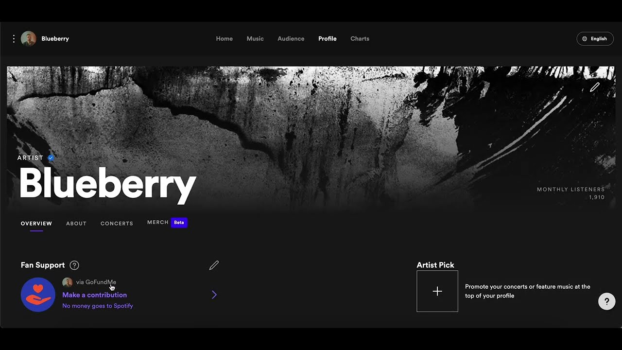 How To Raise Funds For Ukraine On Spotify YouTube