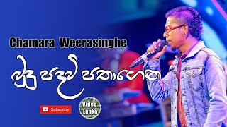 Budu Padavi Pathagena Daruwan Rakina | Chamara Weerasinghe Songs | Sinhala Songs
