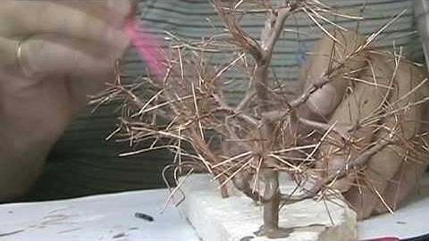 Tree Jam-Boree: Part 3