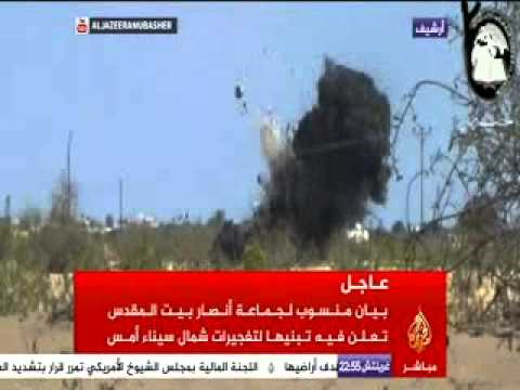 متصل بالجزيرة.. الإرهاب خلقه النظام