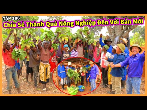 (Tập 186) Nông Nghiệp VIỆT NAM ở Châu Phi || Chia Sẻ Thành Quả Nông Nghiệp Đến Với Bản Mới