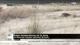 Se registran bajas temperatura en Tlaxco;  Se observan campos cubiertos de hielo.