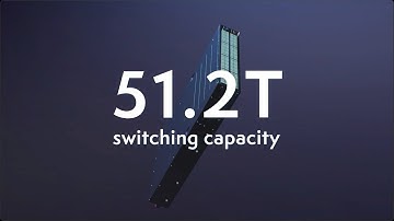800G-Optimized Ethernet and VoQ Fabrics for AI/ML Workloads