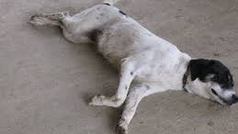 Request-How to Stop Being Lazy