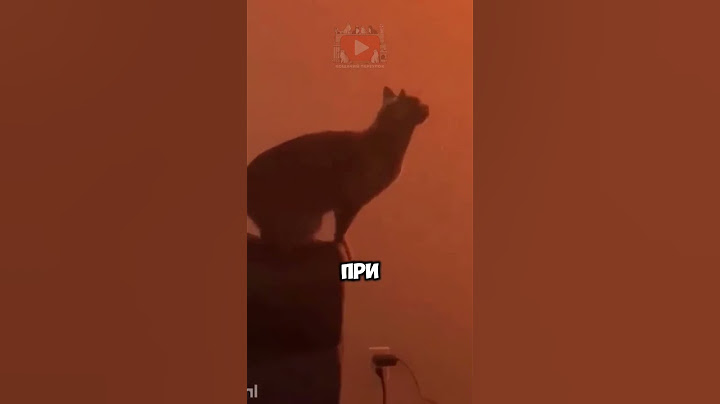 Котик просто хотел доказать миру…